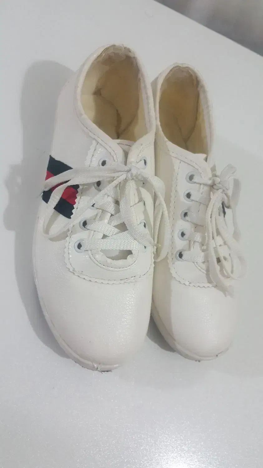 انواع کتانی|کیف، کفش، کمربند|پردیس, فاز ۸|دیوار