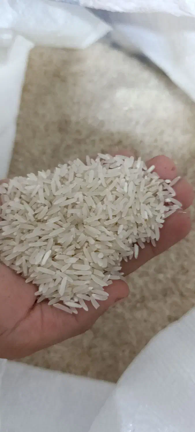 برنج محلی ندا|خوردنی و آشامیدنی|خان ببین, |دیوار