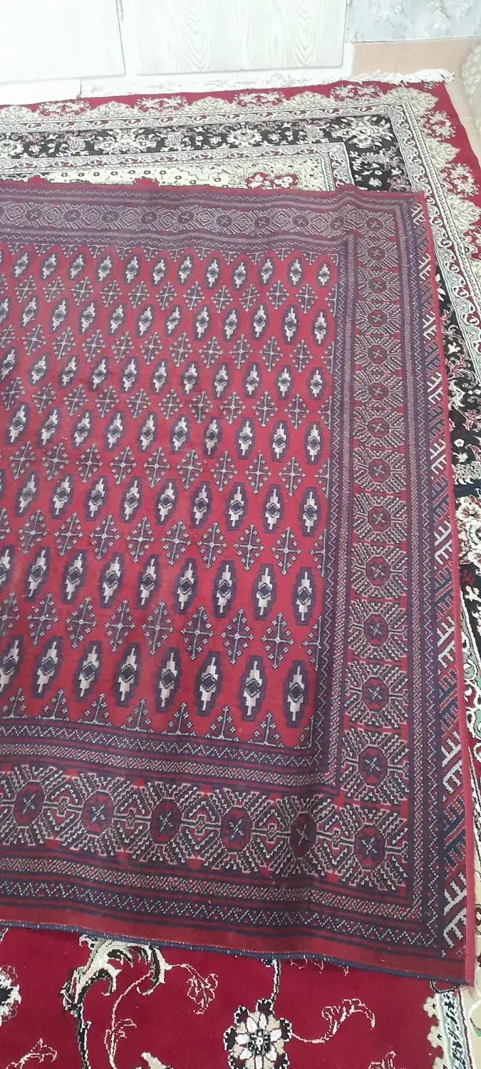 فرش دست بافت ۶ متری|فرش|قم, بنیاد|دیوار