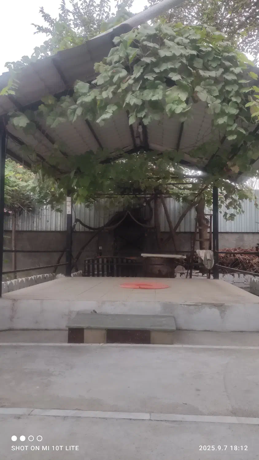 فروش باغ ویلای۱۰۰۳ متری با تهاتر جاده دریای ساری|فروش خانه و ویلا|فرح آباد, |دیوار