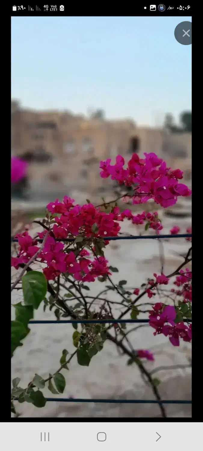 داوطلبانه|فعالیت داوطلبانه|شوشتر, |دیوار