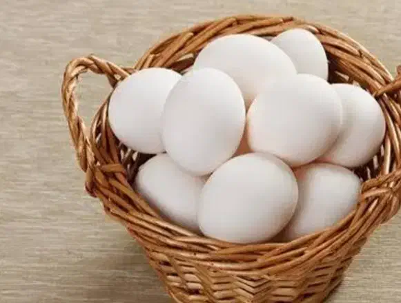 تخم مرغ  محلی  عربی|حیوانات مزرعه|خرمشهر, |دیوار