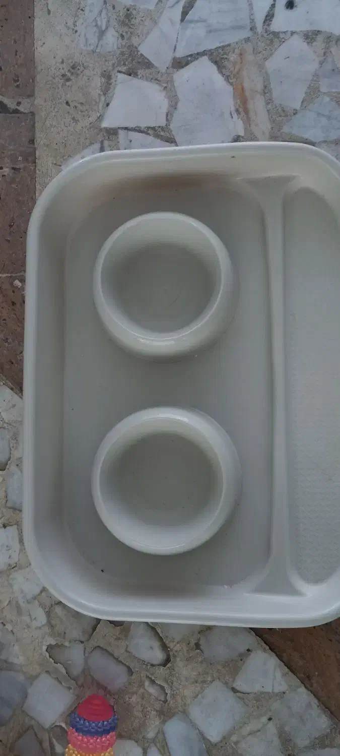 ظرف غذای گربه و خاک گربه|لوازم جانبی حیوانات|رشت, دیلمان|دیوار