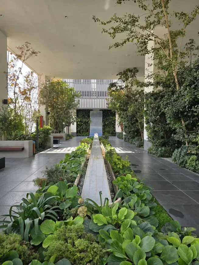 زعفرانیه/ پروژه تندیس ۳۲۰ متر ۳ خواب مستر