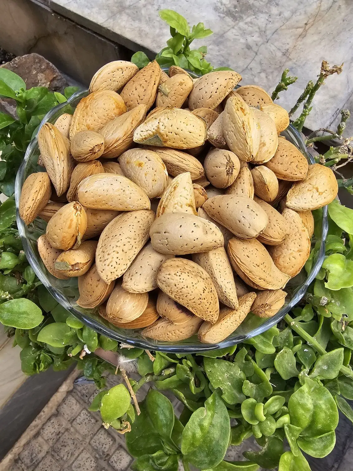 بادام شاهرودی دونه درشت درجه یک|خوردنی و آشامیدنی|تهران, سلسبیل شمالی|دیوار