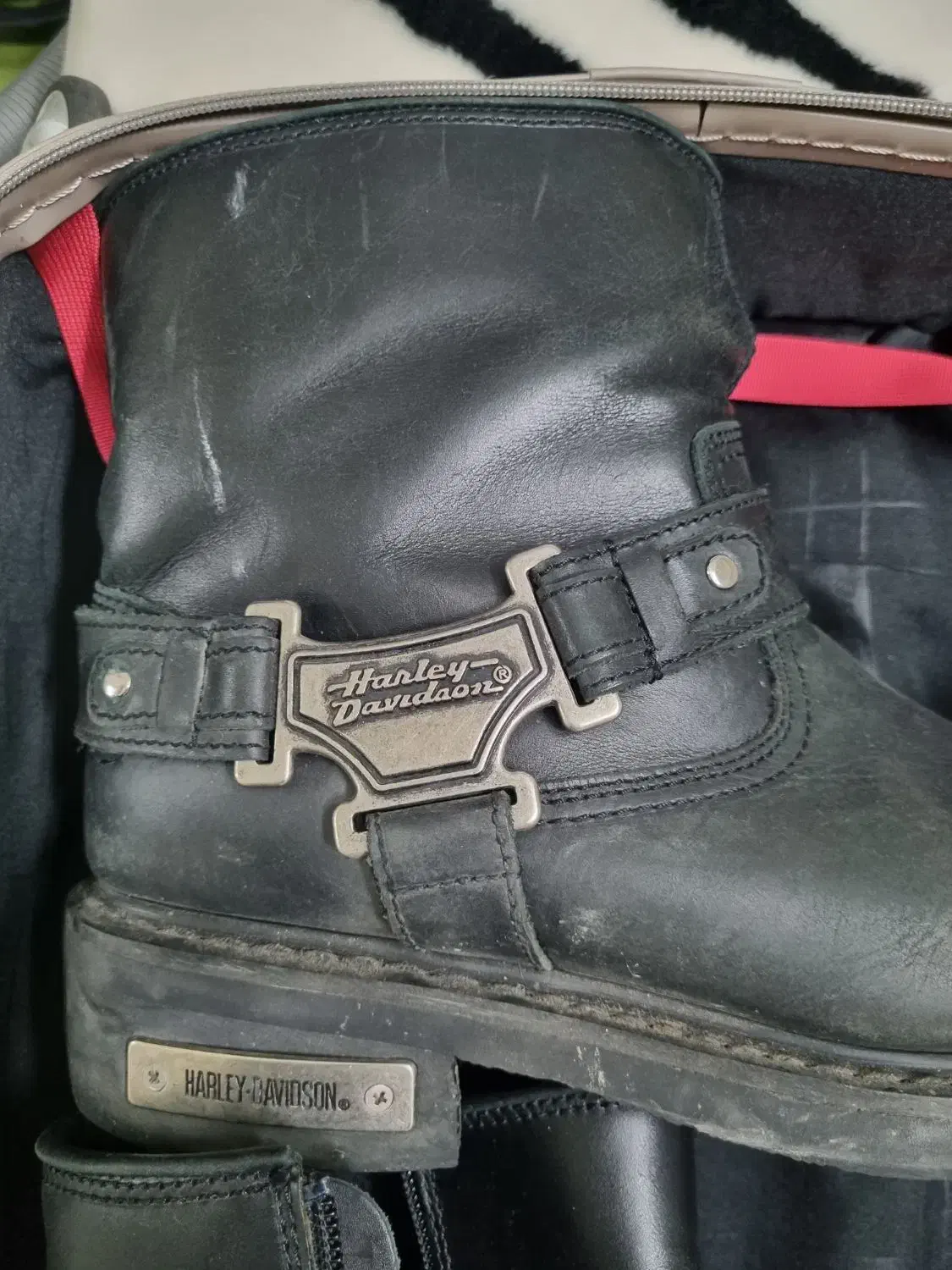 کفش چکمه مارک هالی داوینسون امریکایی|کیف، کفش، کمربند|شاهرود, |دیوار