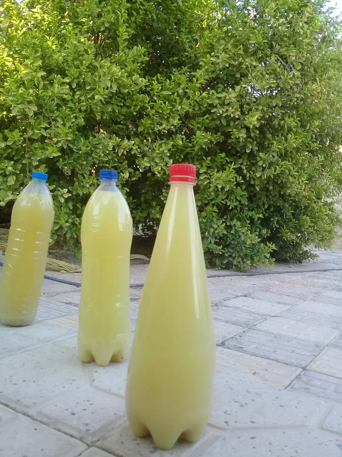 فروش آبلیمو طبیعی|خوردنی و آشامیدنی|قیروکارزین, |دیوار