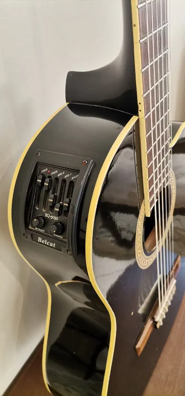 گیتار کلاسیک هافنر پیکاپ دار|گیتار، بیس، امپلیفایر|تهران, میدان ولیعصر|دیوار