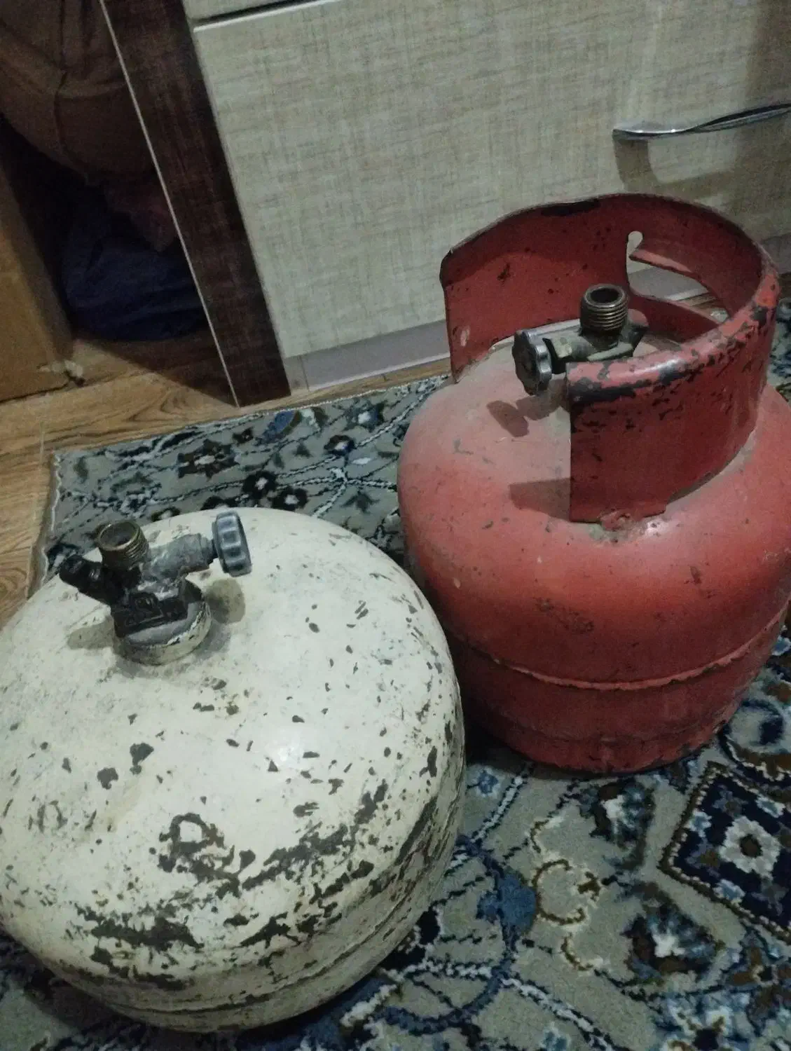 دو عدد پیکنیک|اجاق گاز و لوازم برقی پخت‌وپز|زاهدان, |دیوار