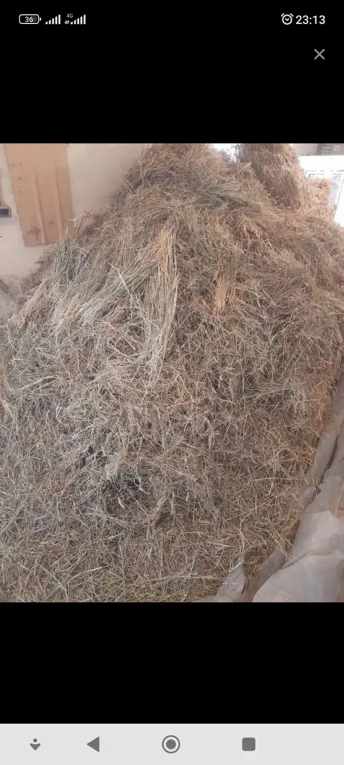 علوفه خشک خردشده|لوازم جانبی حیوانات|قیدار, |دیوار