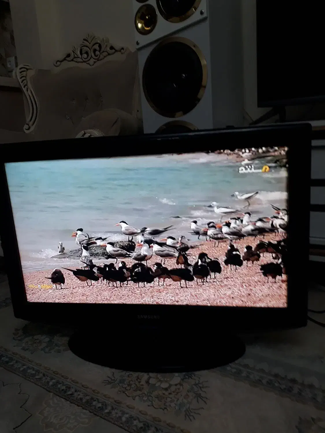 سامسونگ ۳۲|تلویزیون و پروژکتور|ماهدشت, |دیوار