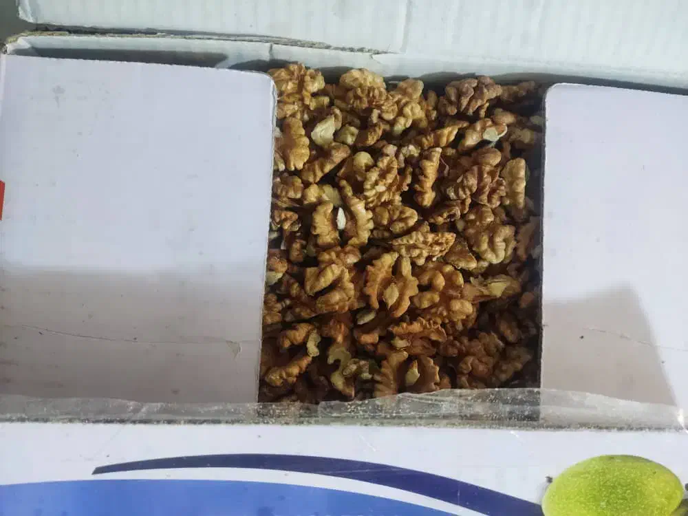 مغز گردو|خوردنی و آشامیدنی|قم, باجک دو|دیوار