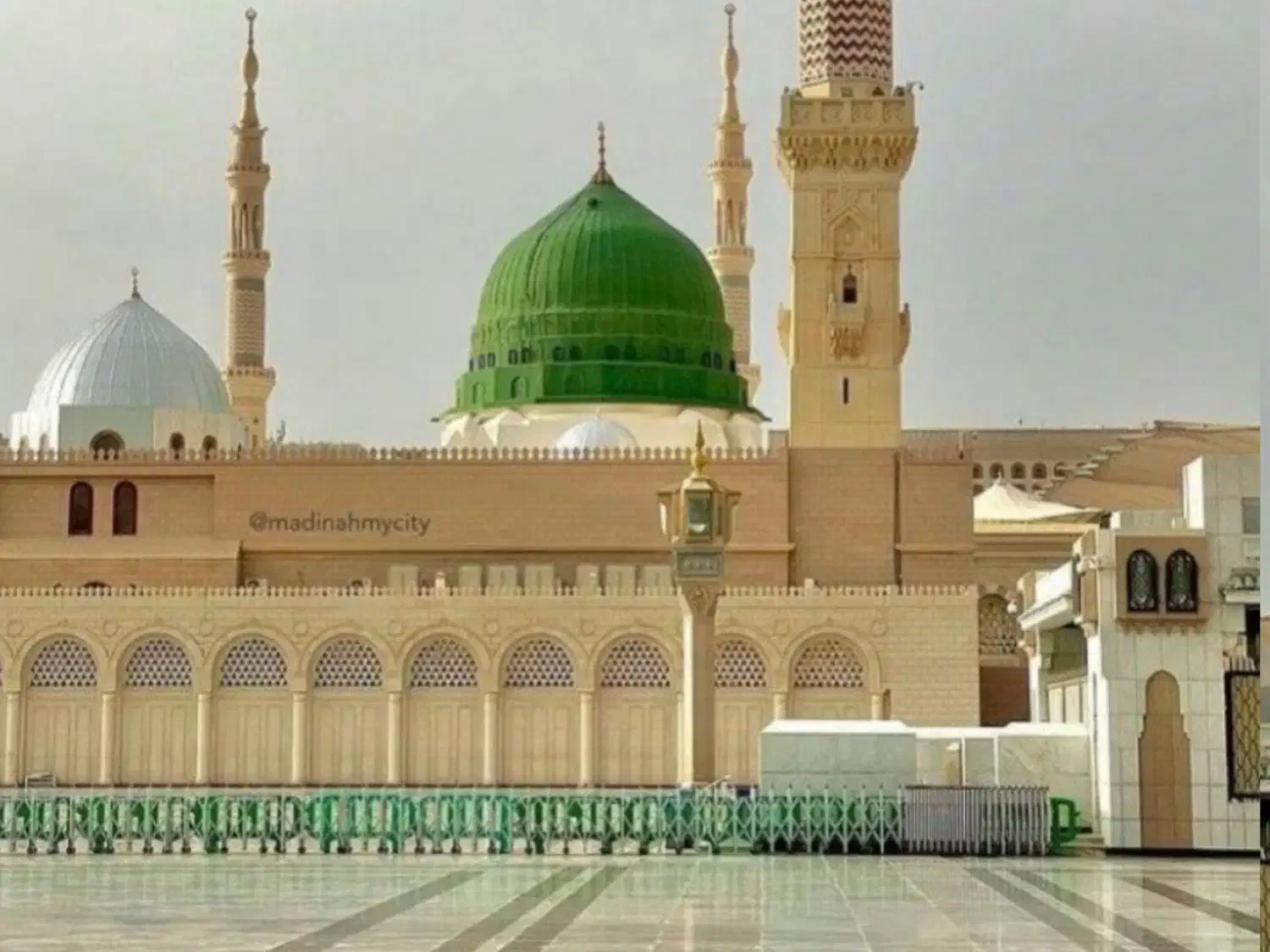 یدونه فیش عمره اولویت 550|تور و چارتر|گنبد کاووس, |دیوار