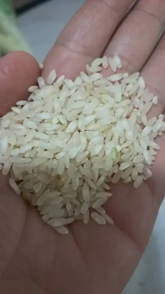 فروش برنج وخورده برنج|خوردنی و آشامیدنی|شیراز, امام حسین|دیوار