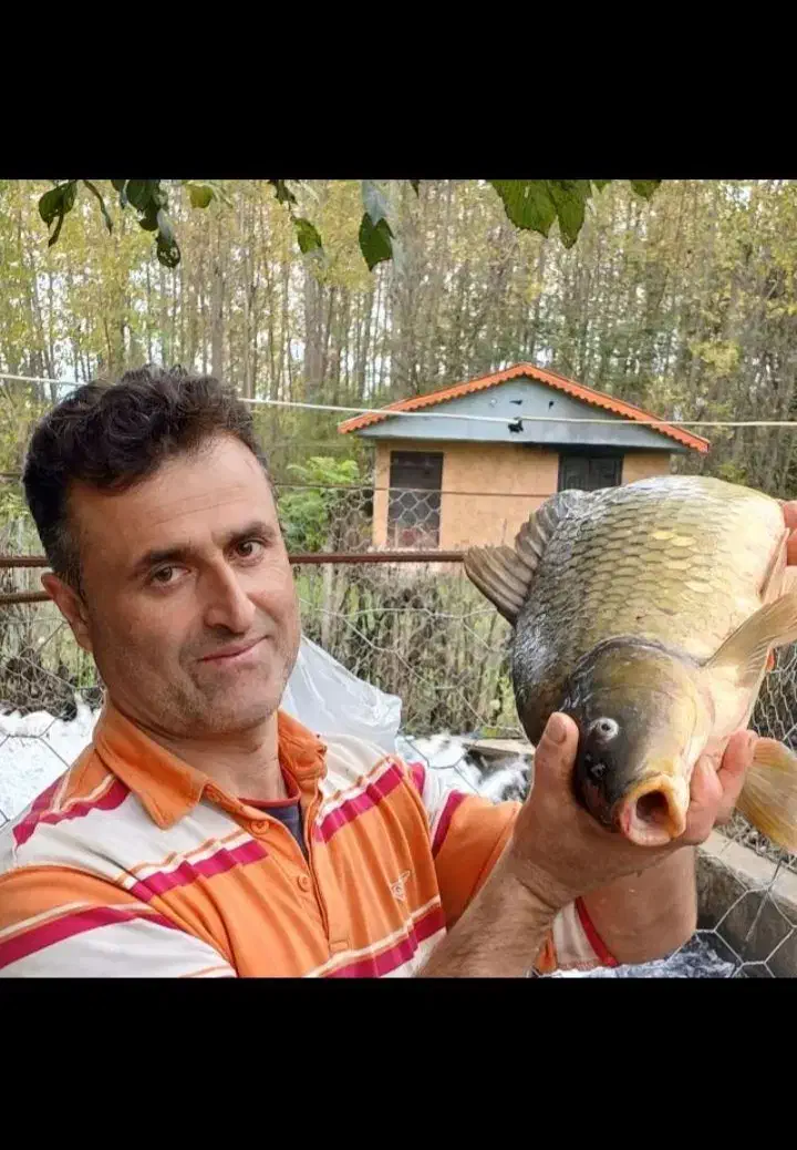 خدمات ماهیگیری|ماهیگیری|رشت, بازار|دیوار