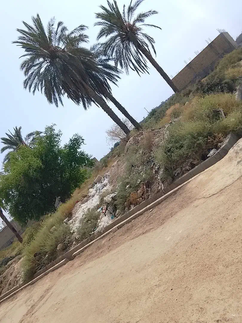 زمین 250|فروش زمین و ملک کلنگی|حمیدیه, |دیوار