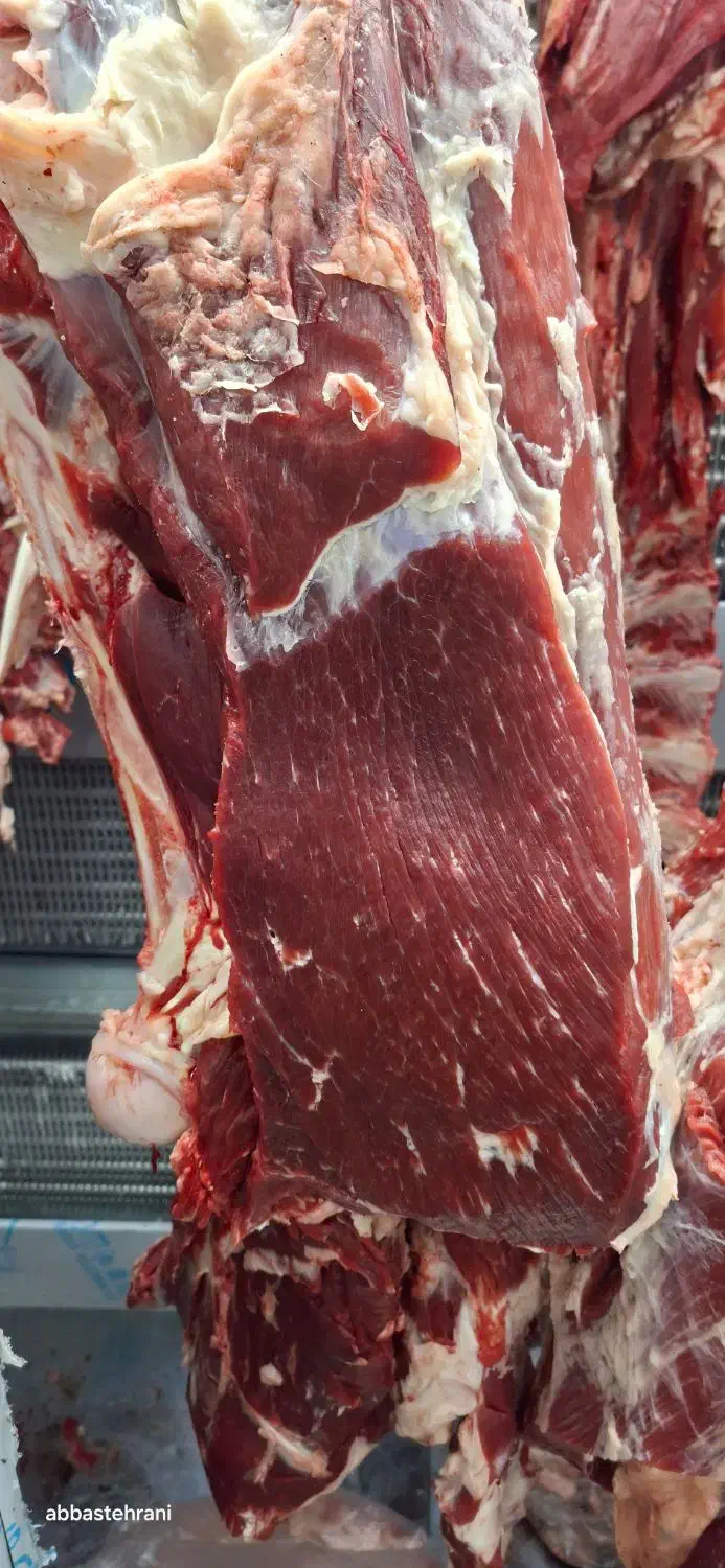گوشت گوساله تازه|خوردنی و آشامیدنی|ورامین, ورامین|دیوار