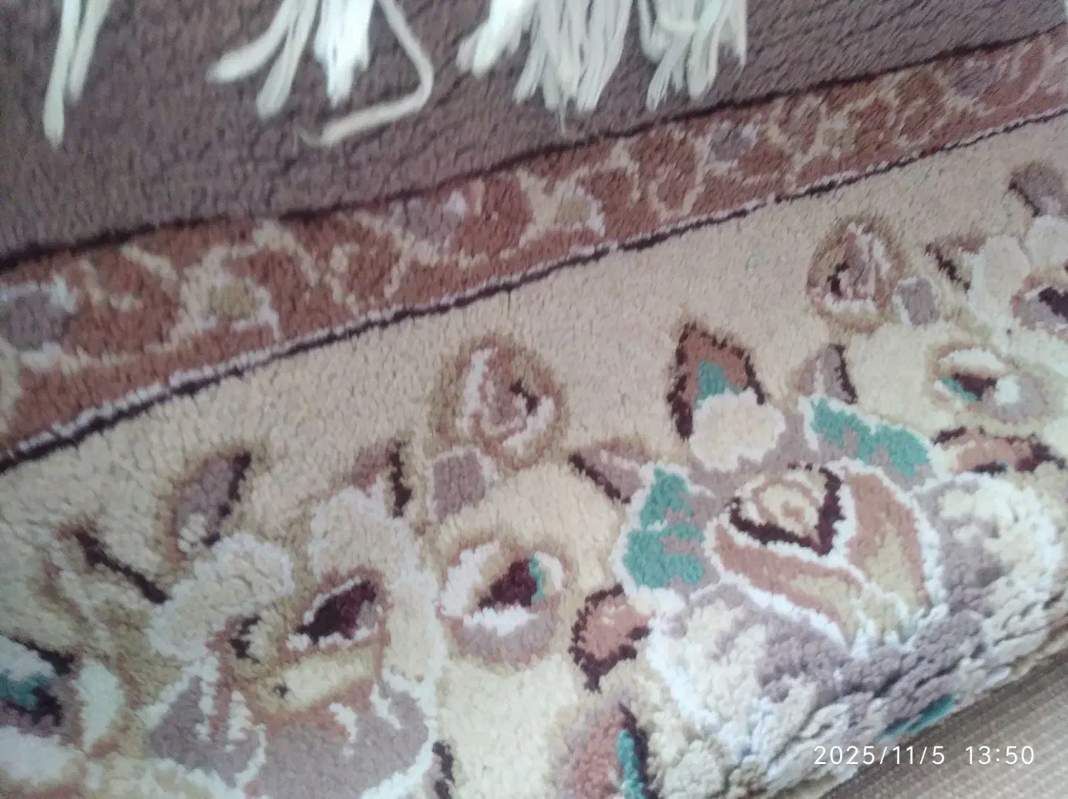 دو عدد فرش ۱۲ متری گردویی|فرش|مشهد, شهرآرا|دیوار