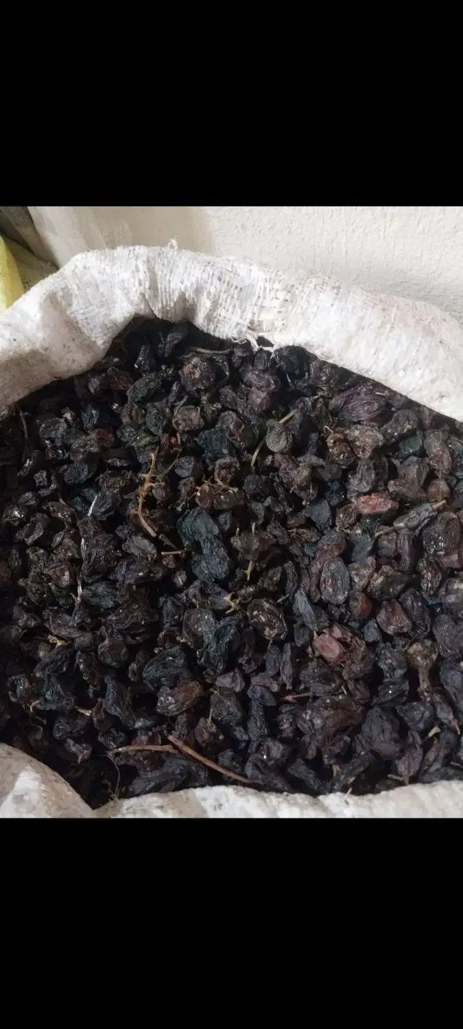 کشمش آفتاب خشک|خوردنی و آشامیدنی|ساوه, |دیوار