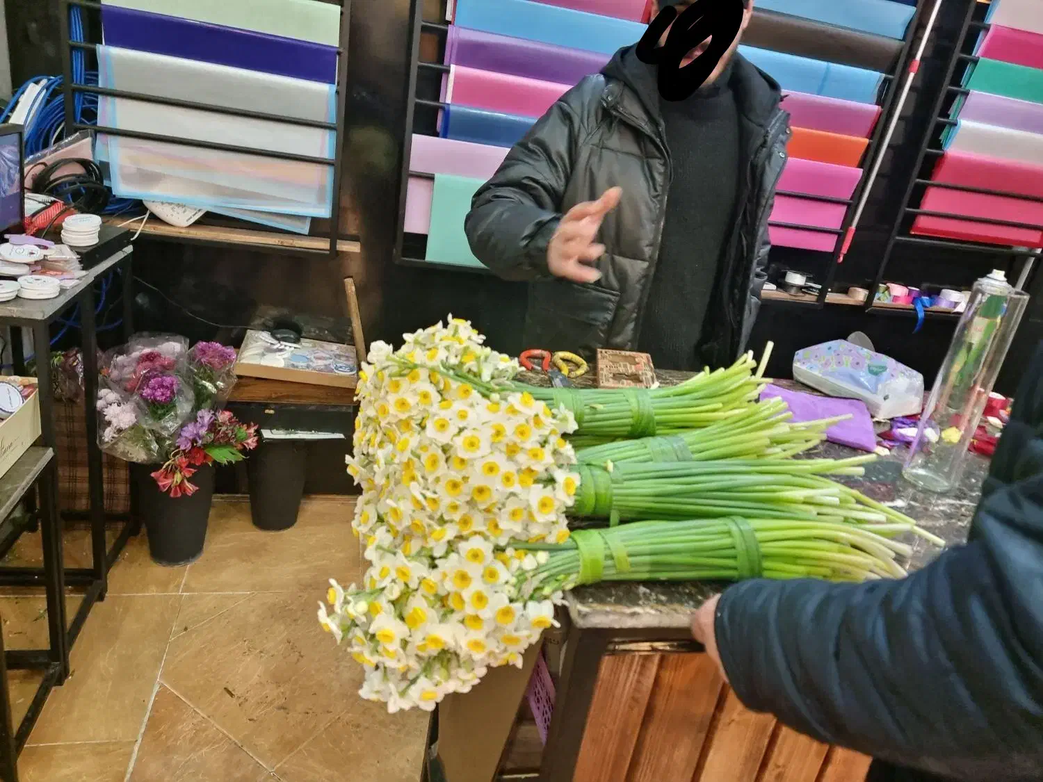 گل نرگس خفر|گل و گیاه طبیعی|شیراز, لاله|دیوار