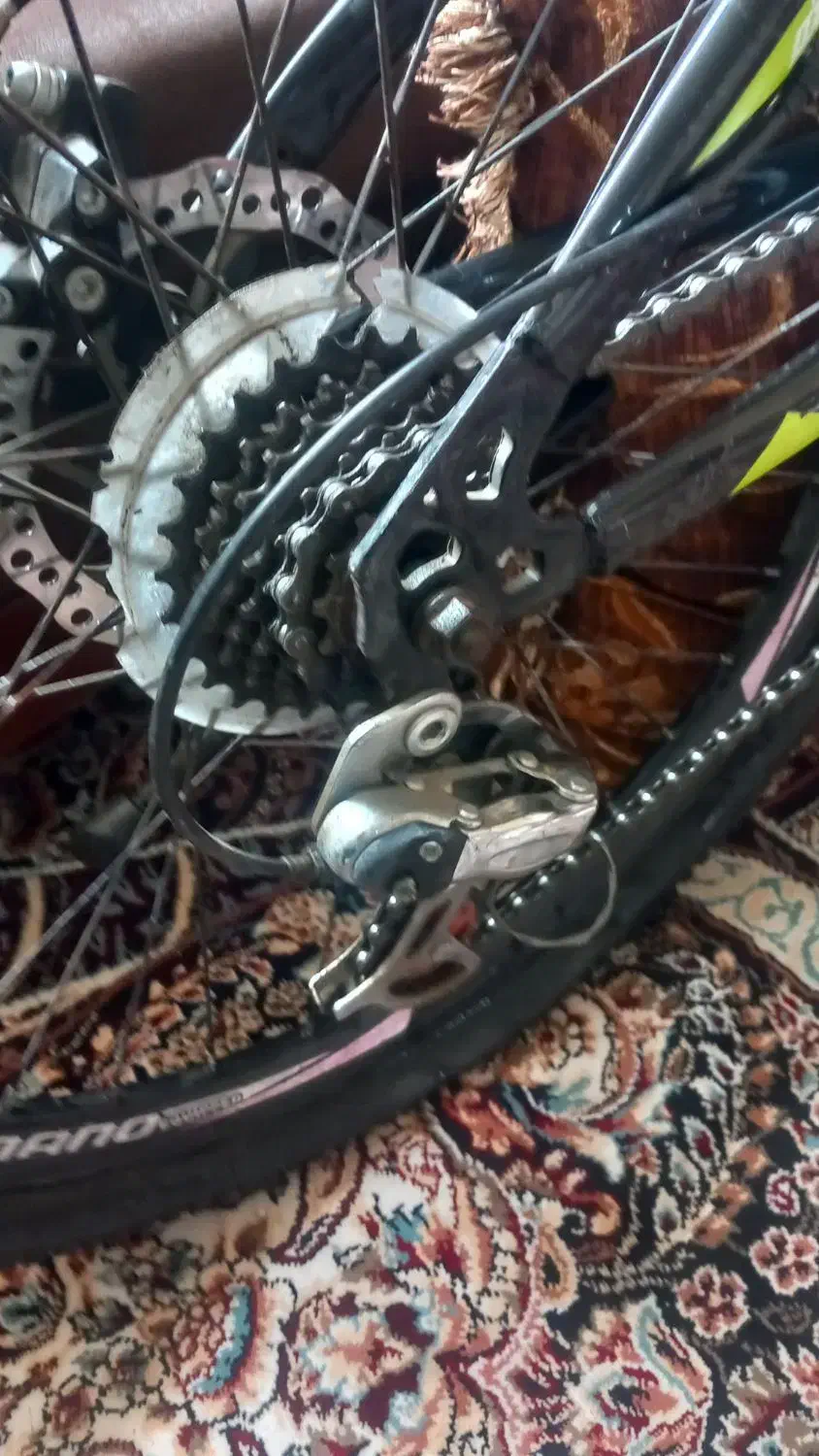 دوچرخه 24|دوچرخه، اسکیت، اسکوتر|زرقان, |دیوار