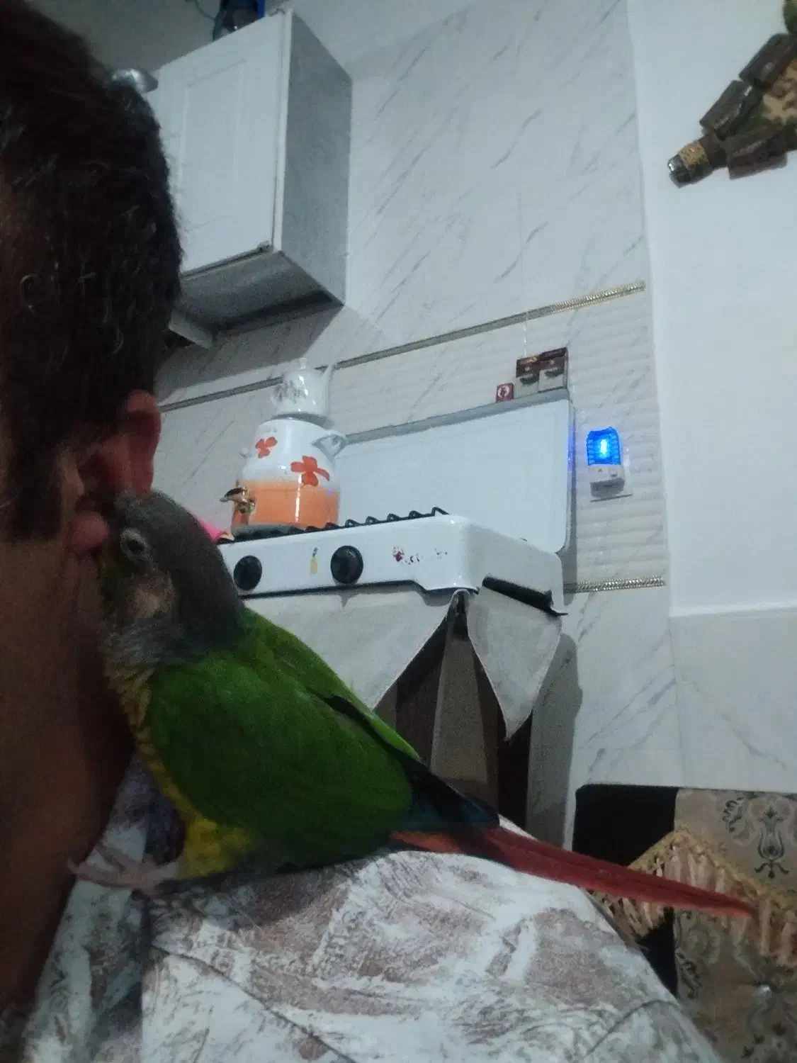 گرنچیک|پرنده|تربت‌حیدریه, آبشار|دیوار