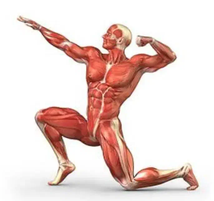 ماساژ در محل|خدمات آرایشگری و زیبایی|چمستان, |دیوار