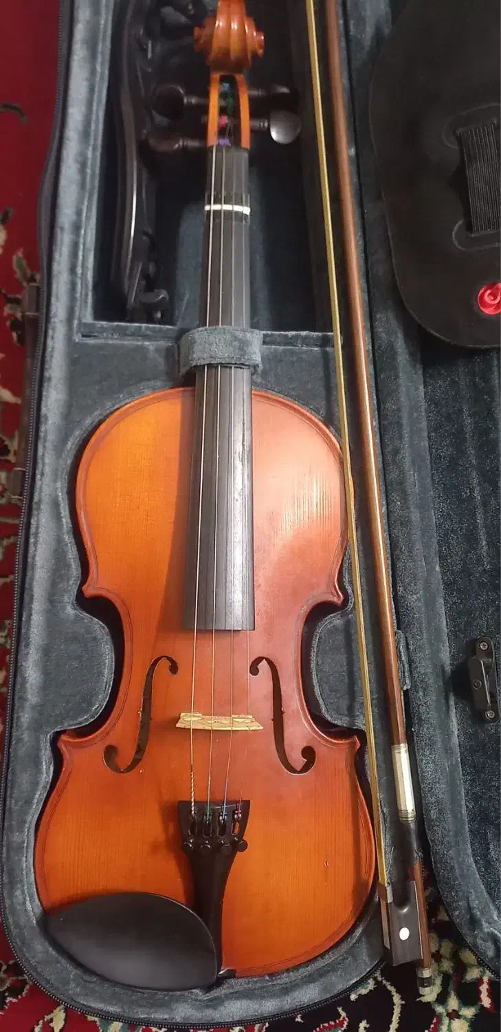 ویلون|ویولن|شیراز, شهرک قمشه|دیوار