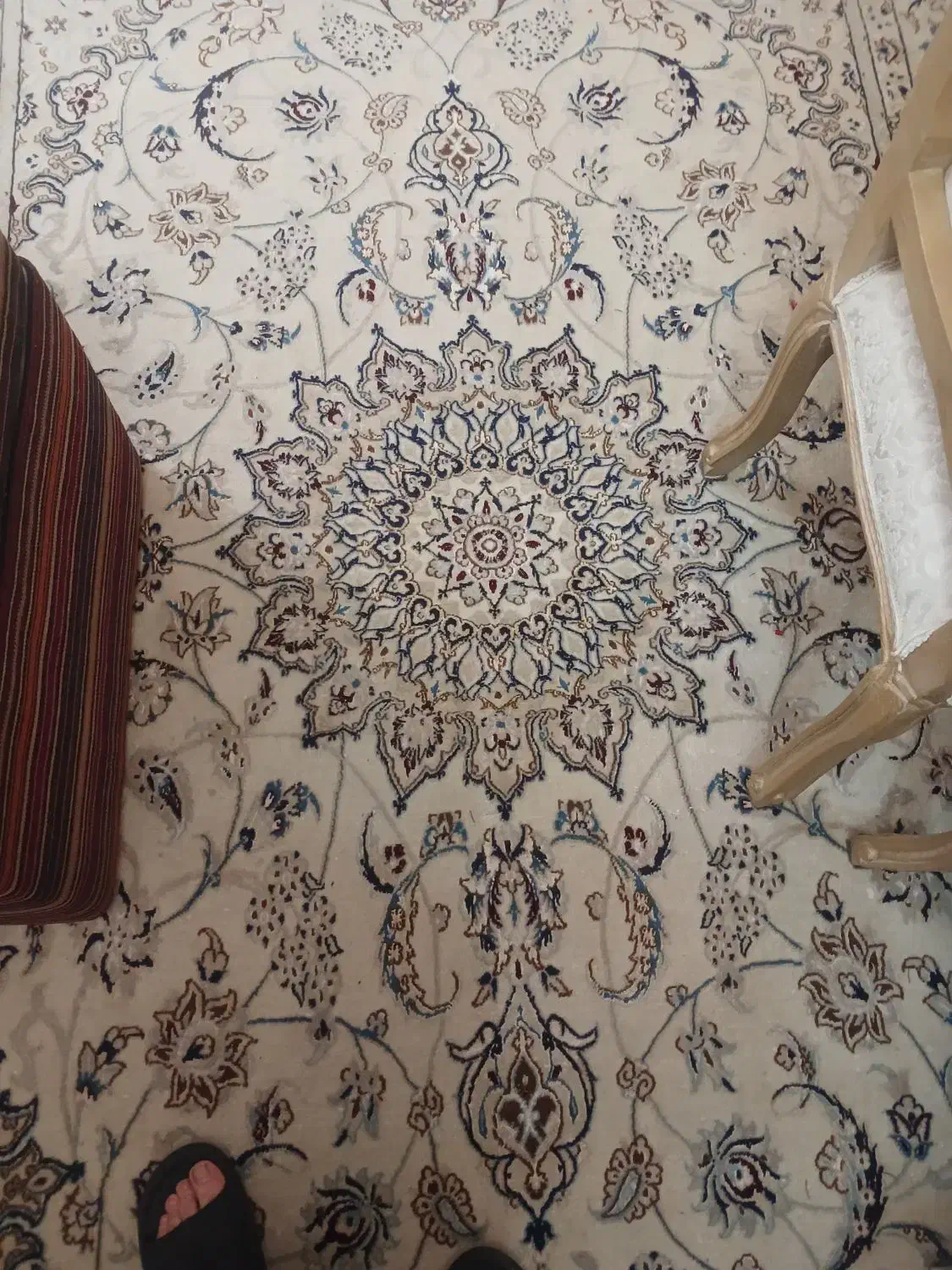 فرش نایین|فرش|تهران, چهارصد دستگاه|دیوار