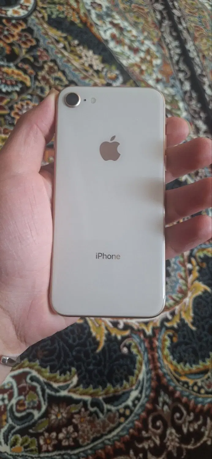 iPhone 8|موبایل|زرگرشهر, |دیوار