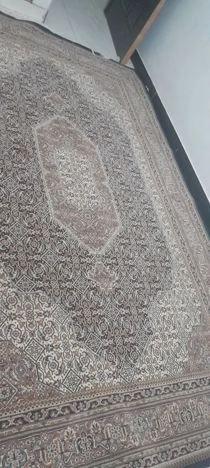 دو عدد فرش ۶ متری|فرش|کرمانشاه, |دیوار