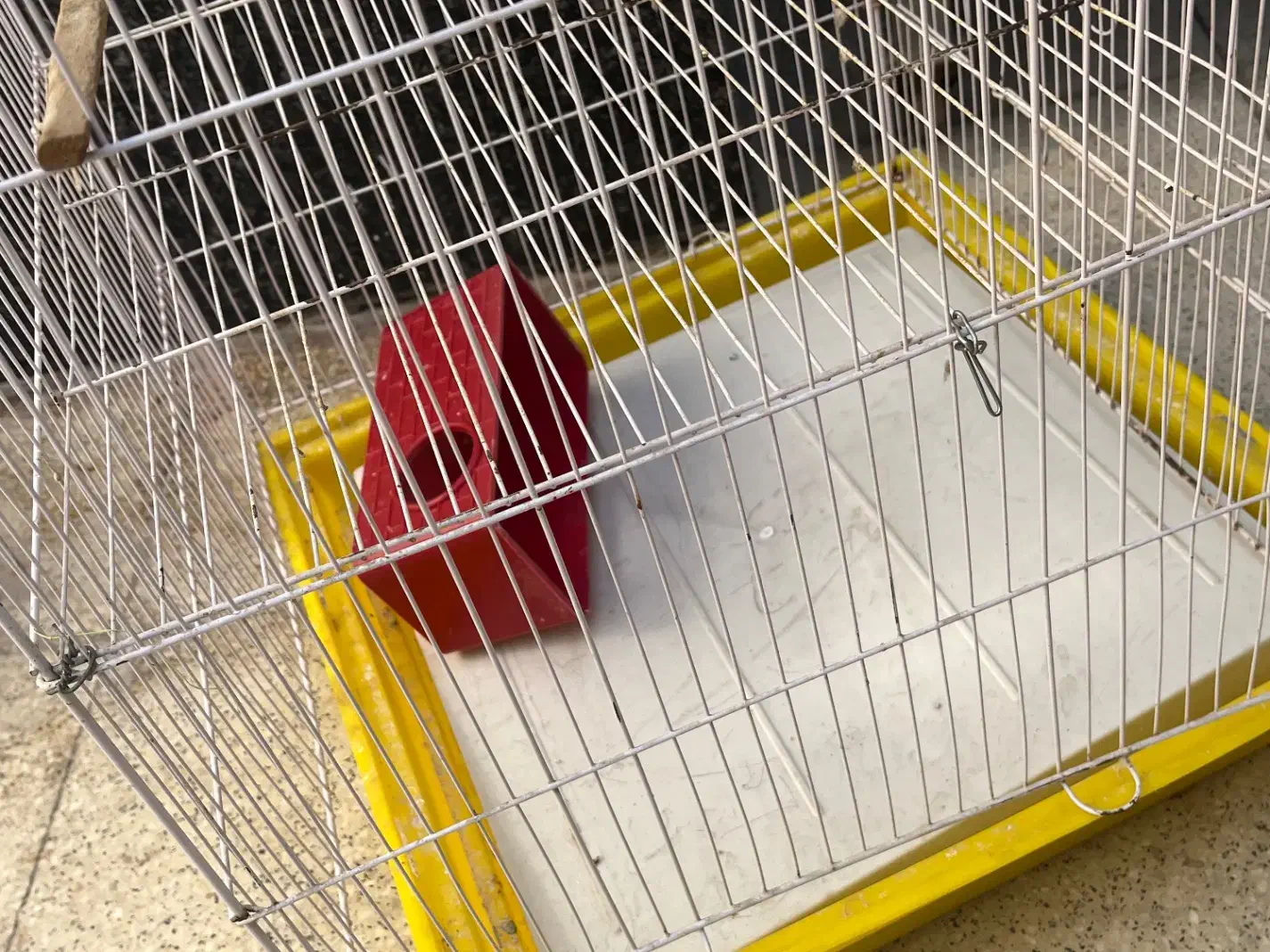 قفس|پرنده|اهواز, فاز ۱ پادادشهر|دیوار