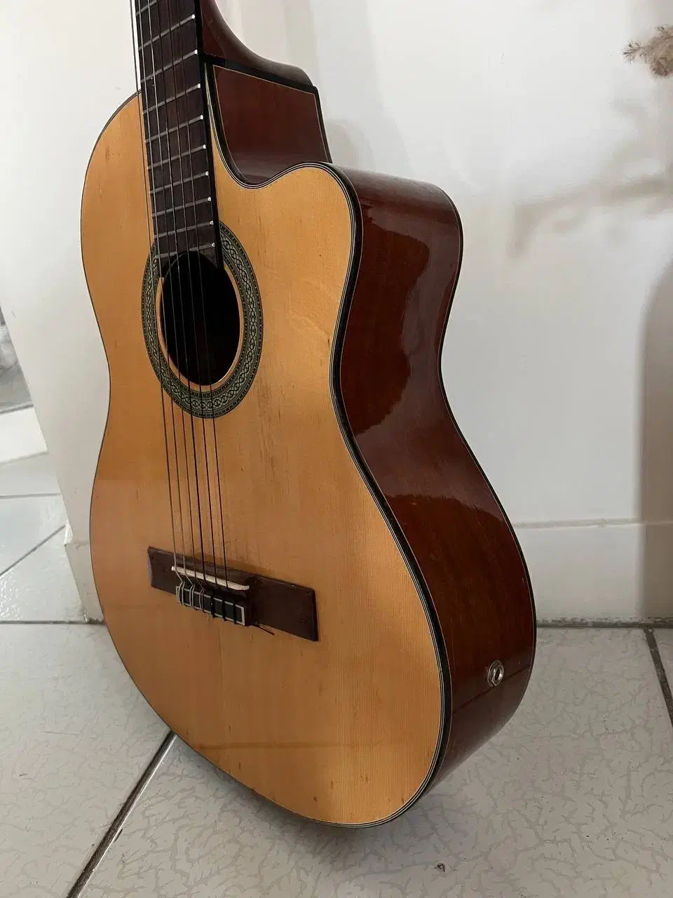 گیتار پیکاپدار آریا|گیتار، بیس، امپلیفایر|تهران, گیشا|دیوار