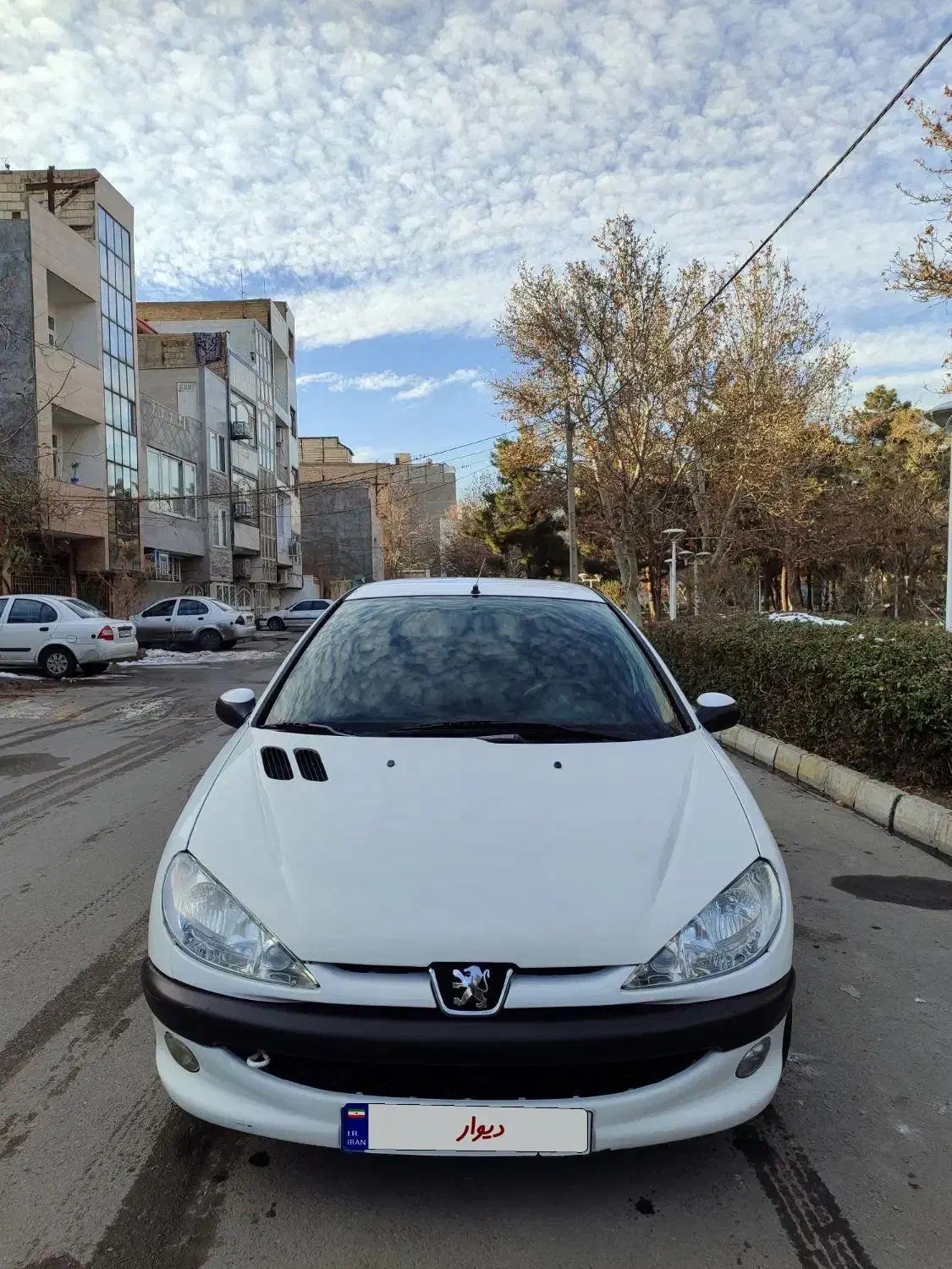 206تیپ 5|خودرو سواری و وانت|مشهد, موسوی قوچانی|دیوار