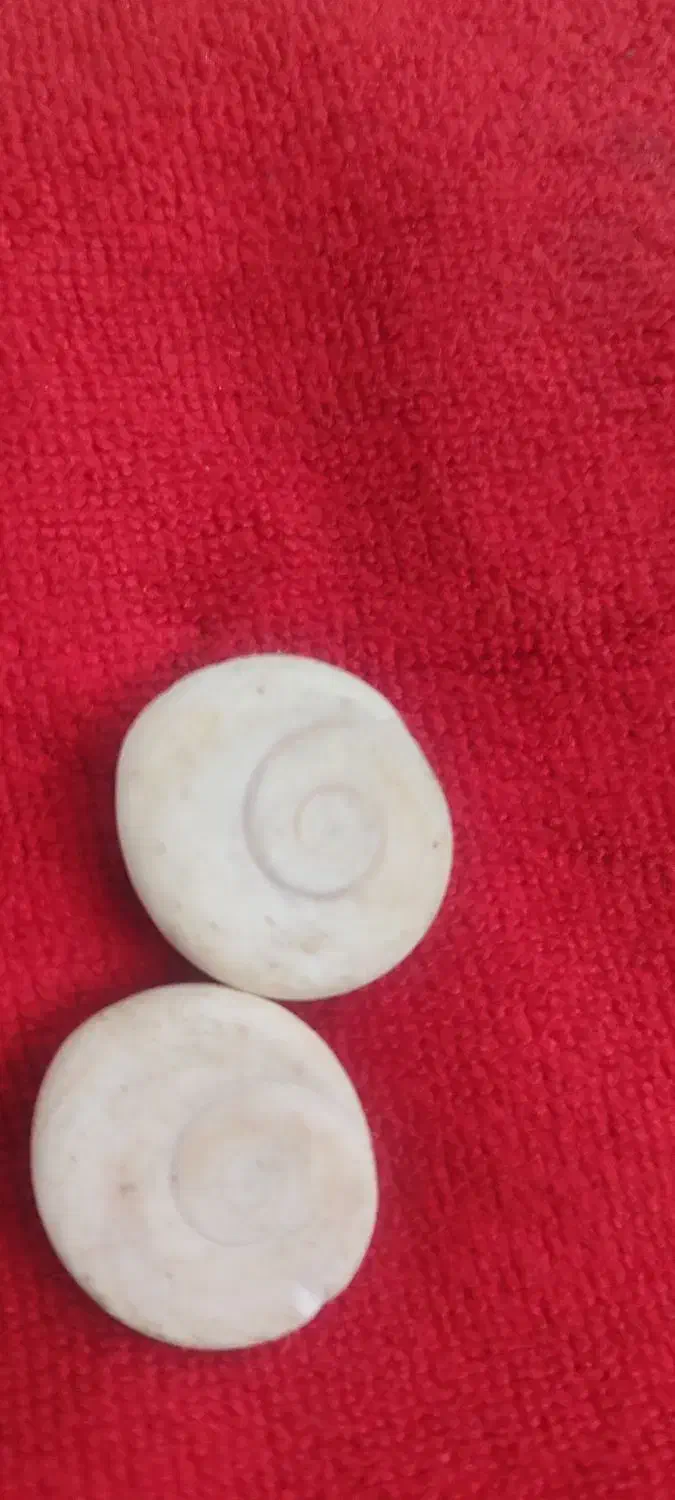 مهره اصل پیتون مصری|جواهرات|دزفول, |دیوار