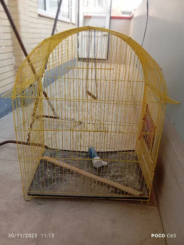 قفس طوطی رنگ زرد|لوازم جانبی حیوانات|سهند, |دیوار