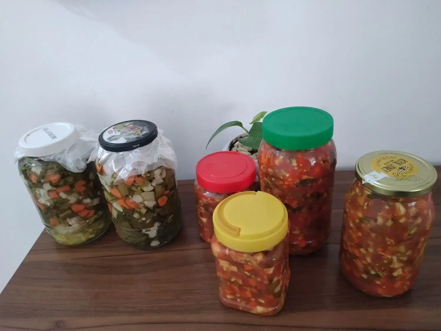 سالاد فصل و ترشی خانگی|خوردنی و آشامیدنی|پاکدشت, شهرک امام رضا|دیوار