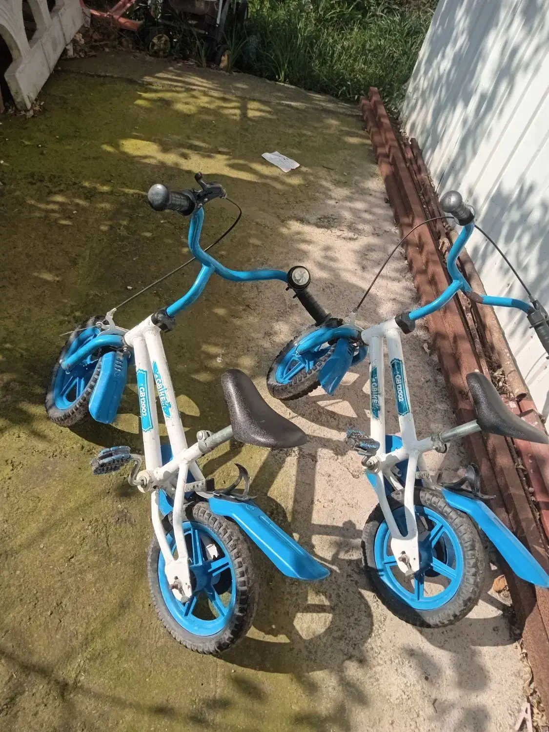 سایز ۱۲ هر کدوم ۱۲۰۰|دوچرخه، اسکیت، اسکوتر|لاهیجان, لیالستان|دیوار