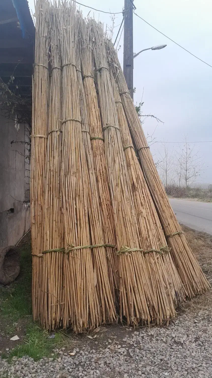 لوله پرچین|عمدهفروشی|آستانه اشرفیه, |دیوار