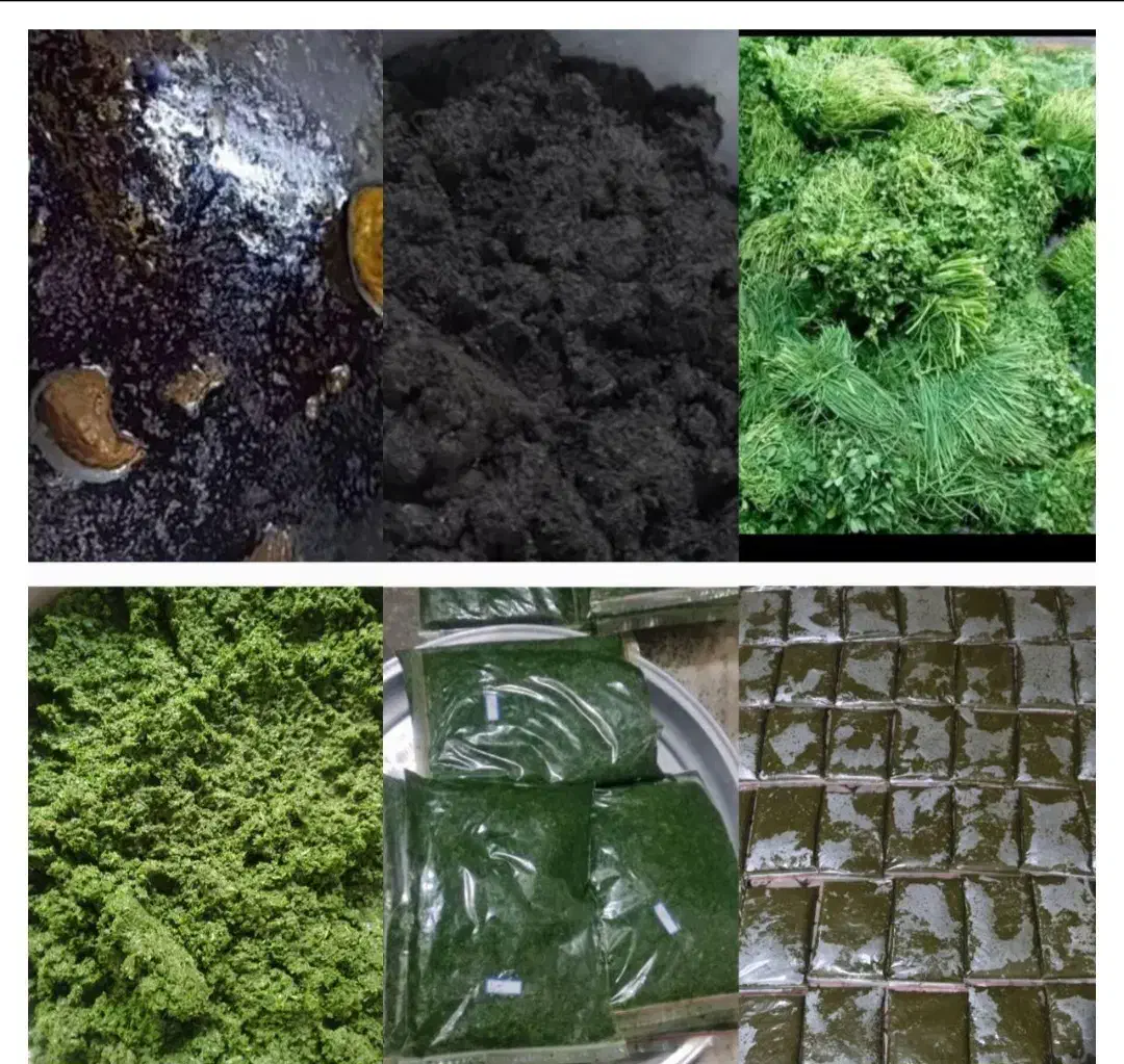 سبزی خورشتی تازه|خوردنی و آشامیدنی|اصفهان, باغ زرشک|دیوار