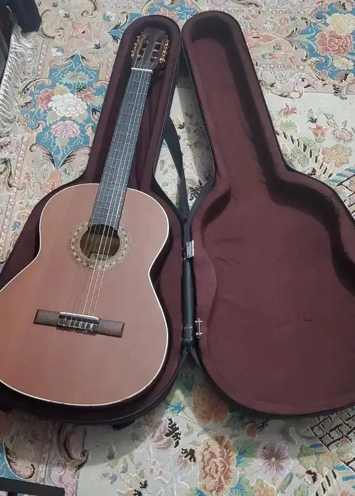 گیتار|گیتار، بیس، امپلیفایر|شهریار, کهنز|دیوار