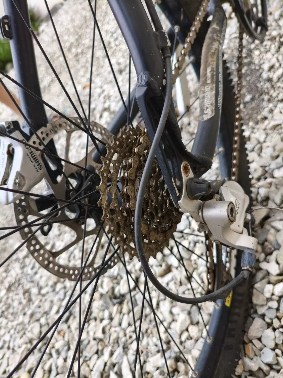 دوچرخه آلمانی درحد نو|دوچرخه، اسکیت، اسکوتر|نوشهر, |دیوار