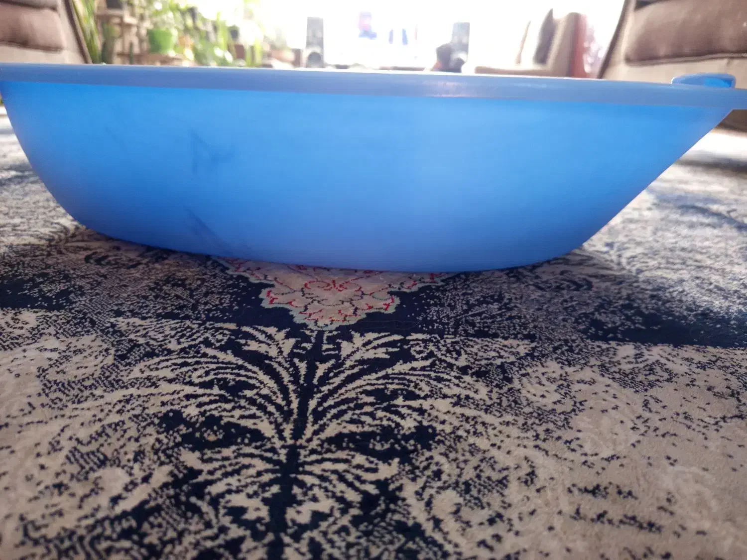 وسیله گربه|لوازم جانبی حیوانات|مشهد, چهارچشمه|دیوار