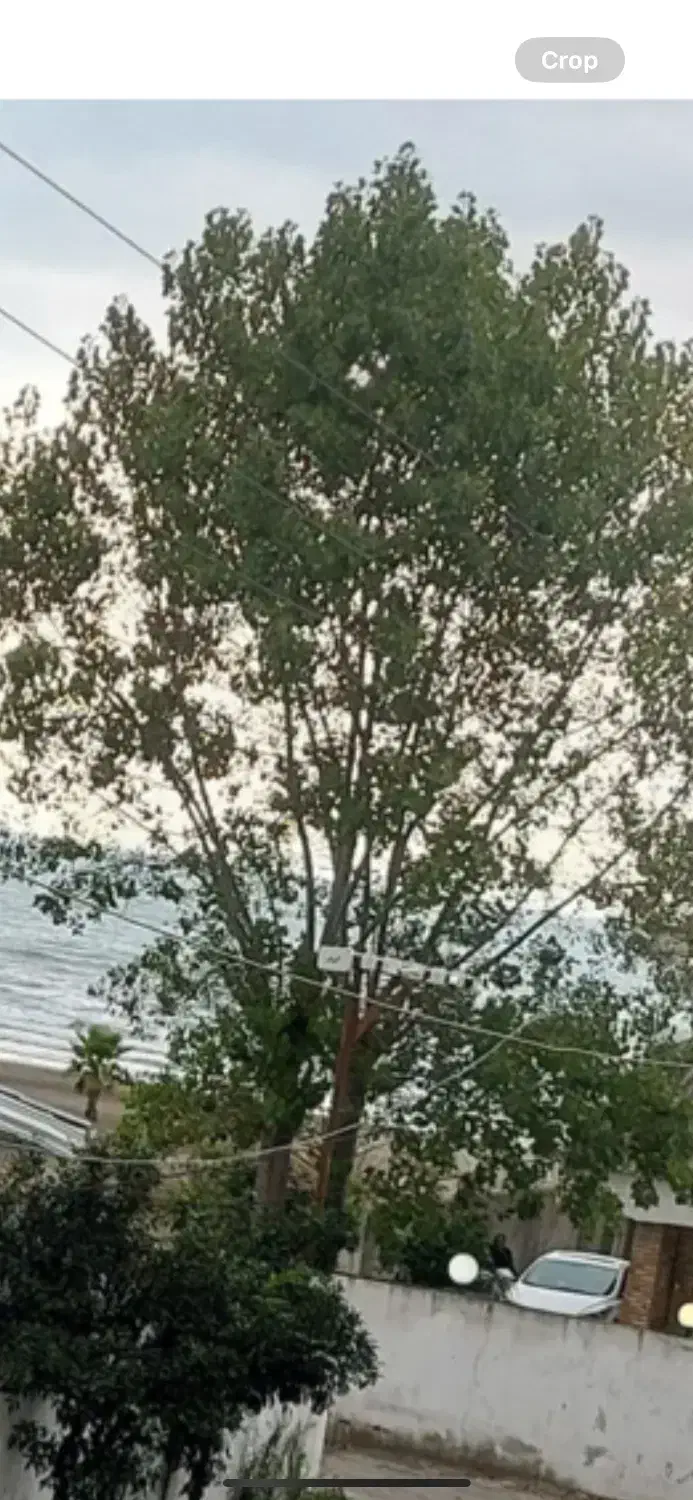 رهن اجاره آپارتمان ساحلی در محموداباد کلید نخورده|اجارهٔ آپارتمان|محمودآباد, |دیوار