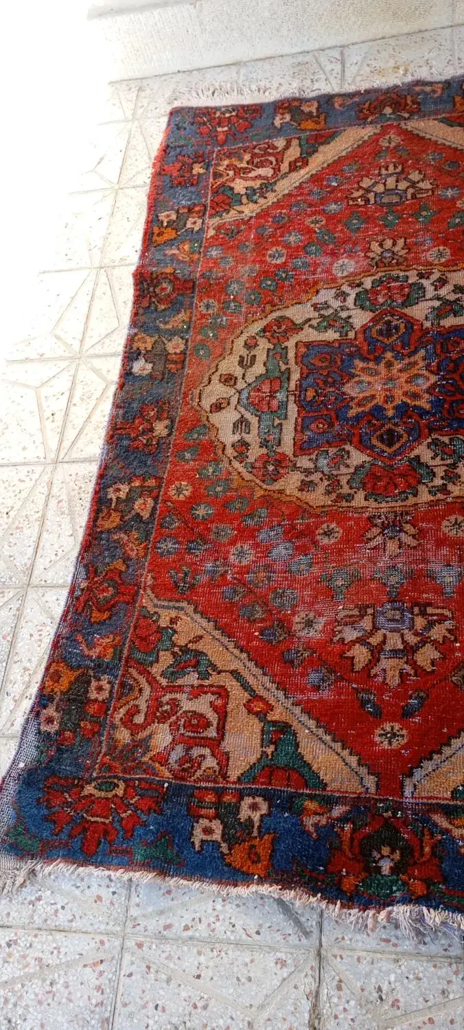 فرش دست بافت قدیمی|فرش|شیراز, کوشک میدان|دیوار