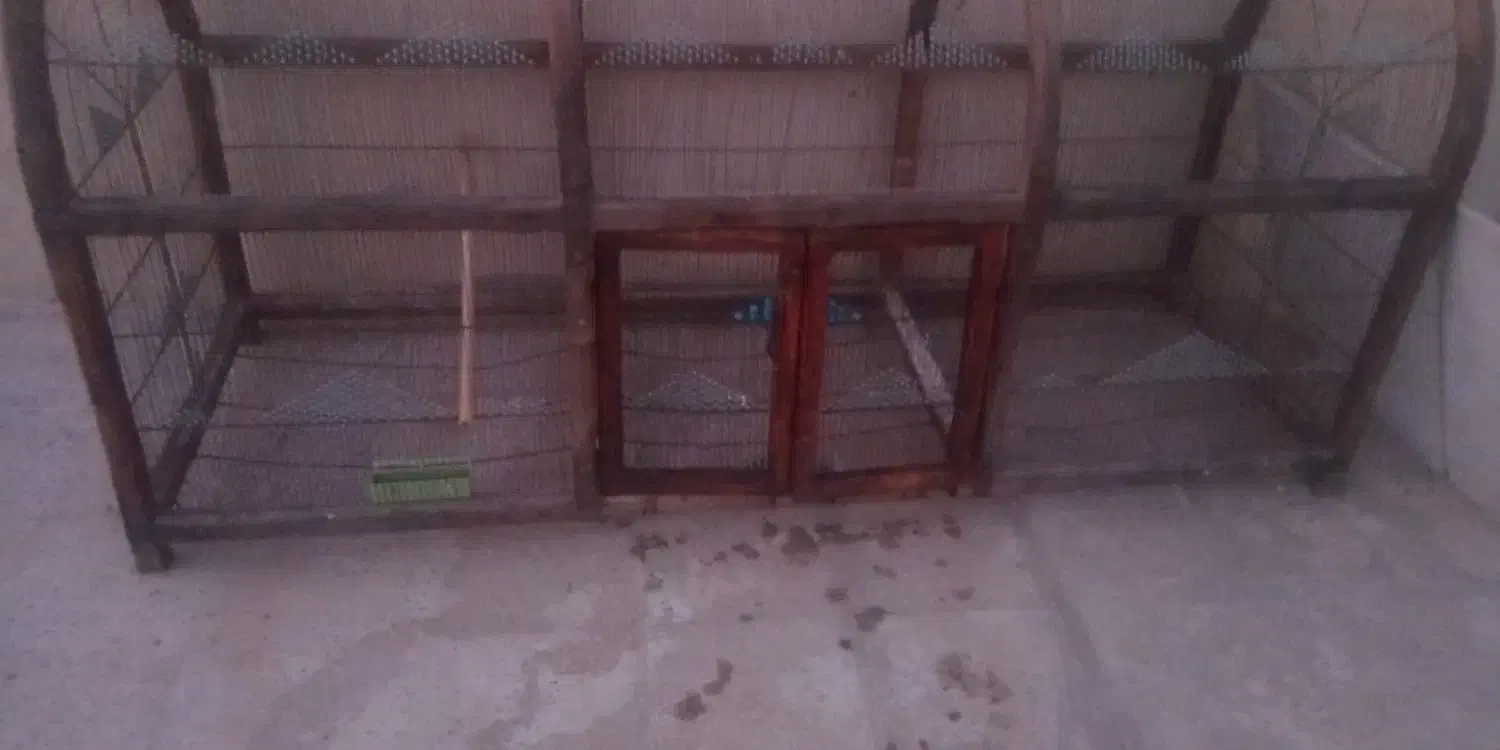 قفس بزرگ و قدیمی چوبی مناسب پرورش عروس هلندی و....|لوازم جانبی حیوانات|اندیشه, اندیشه فاز ۵|دیوار