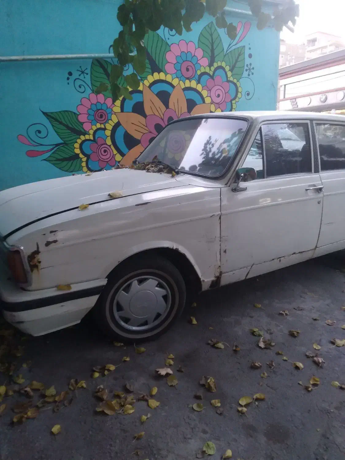 ماشین پیکان|خودرو سواری و وانت|طرقبه, |دیوار