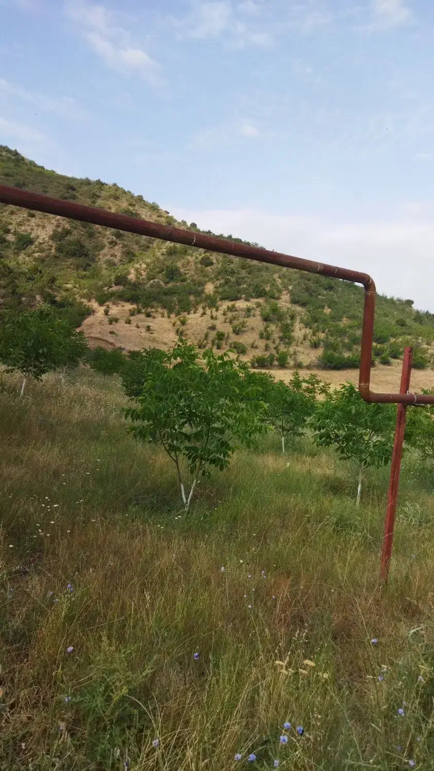 حفر وتعمیر چاه آب|خدمات پیشه و مهارت|عجب شیر, |دیوار