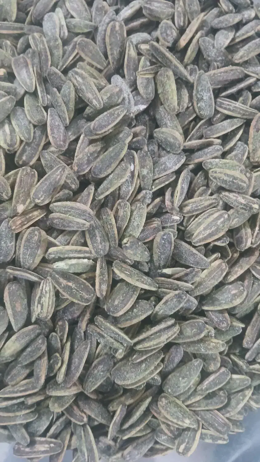 پخش تخمه خوی|خوردنی و آشامیدنی|کرج, کرج نو|دیوار