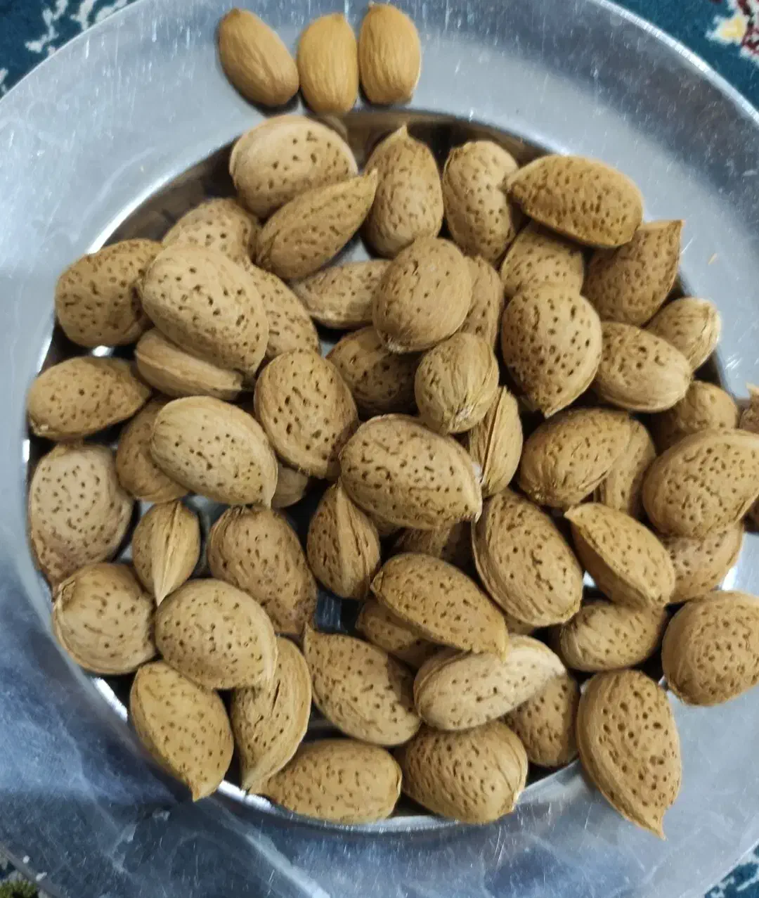 بادام تلخ|خوردنی و آشامیدنی|قم, حاج زینل|دیوار